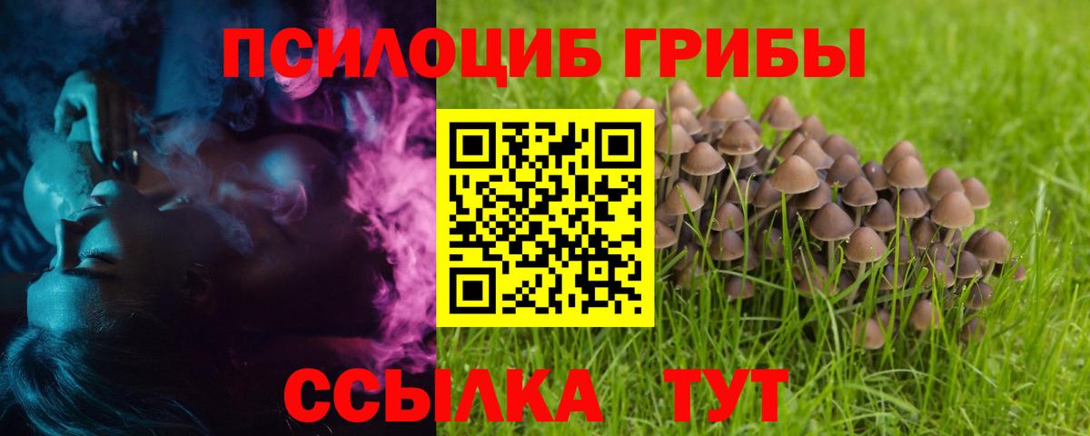 Псилоцибиновые грибы GOLDEN TEACHER Ачхой-Мартан