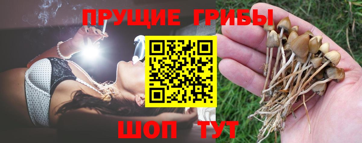 Галлюциногенные грибы MAGIC MUSHROOMS  Псилоцибиновые грибы мицелий  Ачхой-Мартан  Вход с VPN 